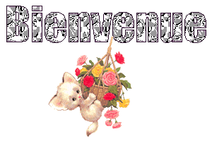 bienvenue sur le vip-blog de @cha@